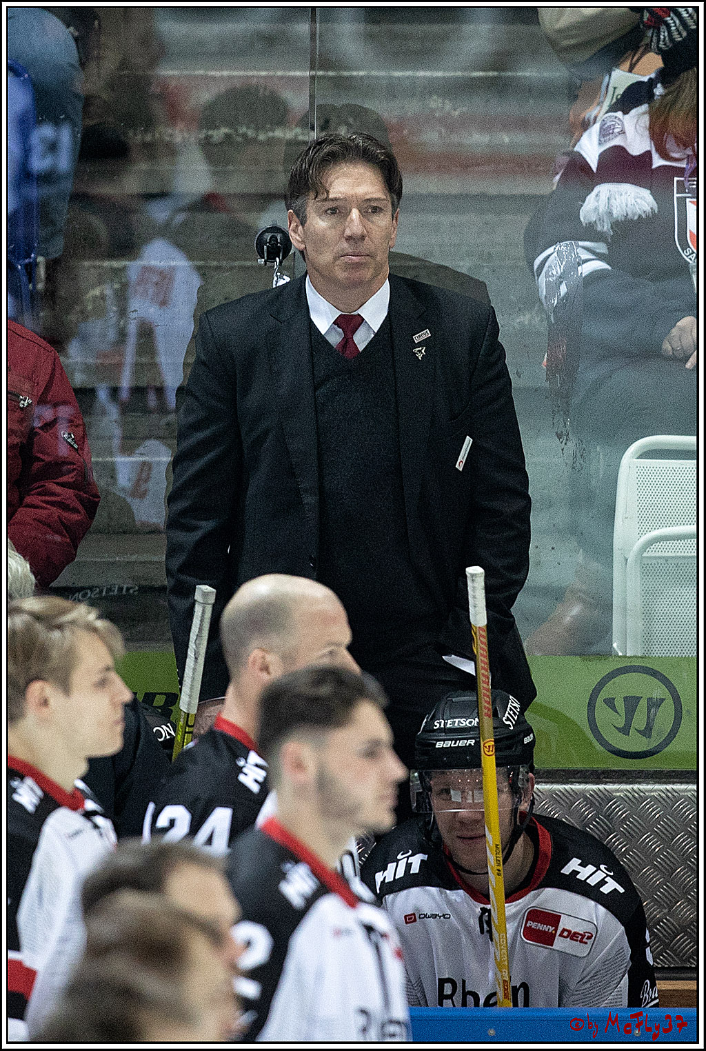 PENNY DEL;  Iserlohn Roosters - Koelner Haie; Koeln, 05.12.2021